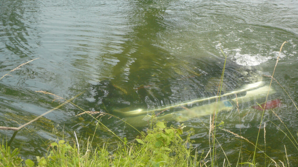 Grutage d’un véhicule dans le canal
