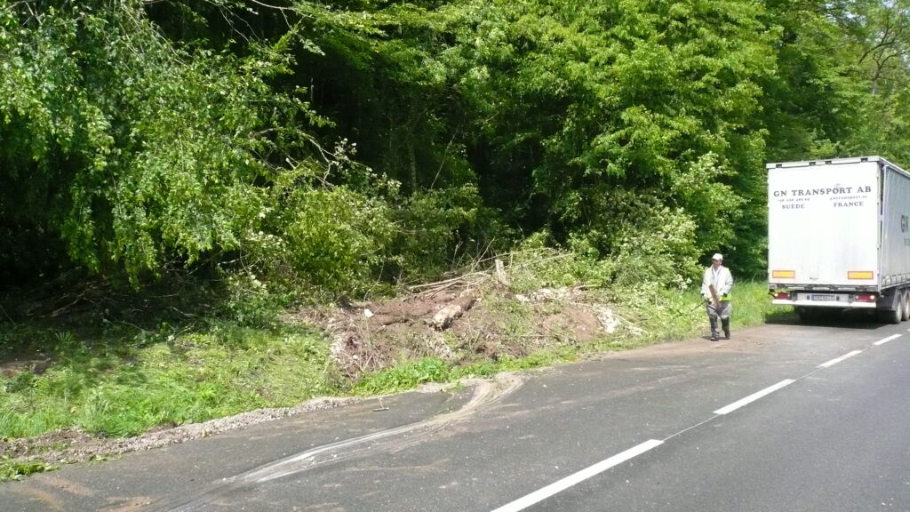 Poids lourd en accordéon dans un arbre