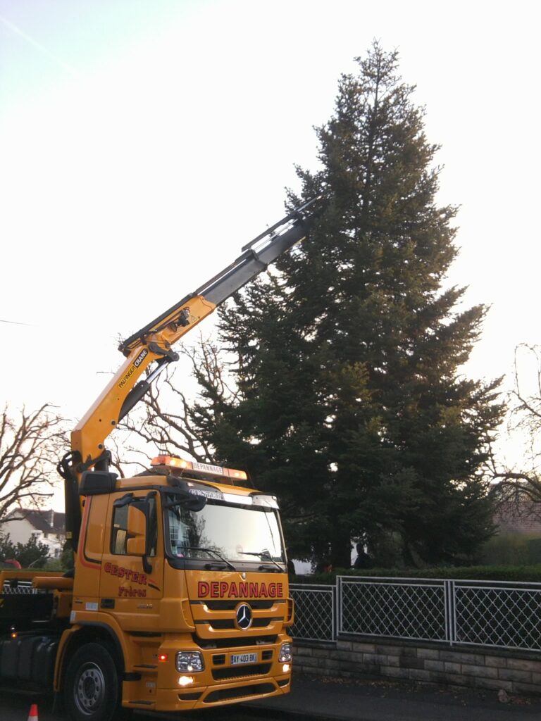 Mise en place d’un sapin de Noël